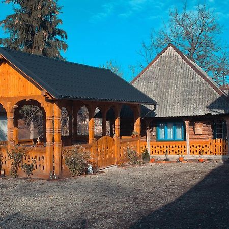 La Rodica In Vale Guest House Ocna Sugatag Exterior photo