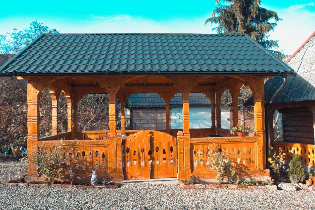 La Rodica In Vale Guest House Ocna Sugatag Exterior photo