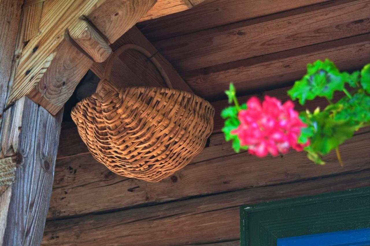 La Rodica In Vale Guest House Ocna Sugatag Exterior photo