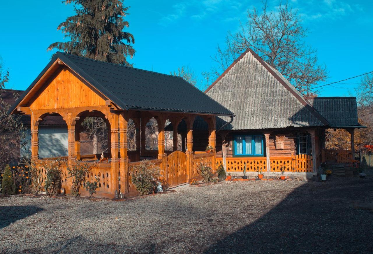 La Rodica In Vale Guest House Ocna Sugatag Exterior photo