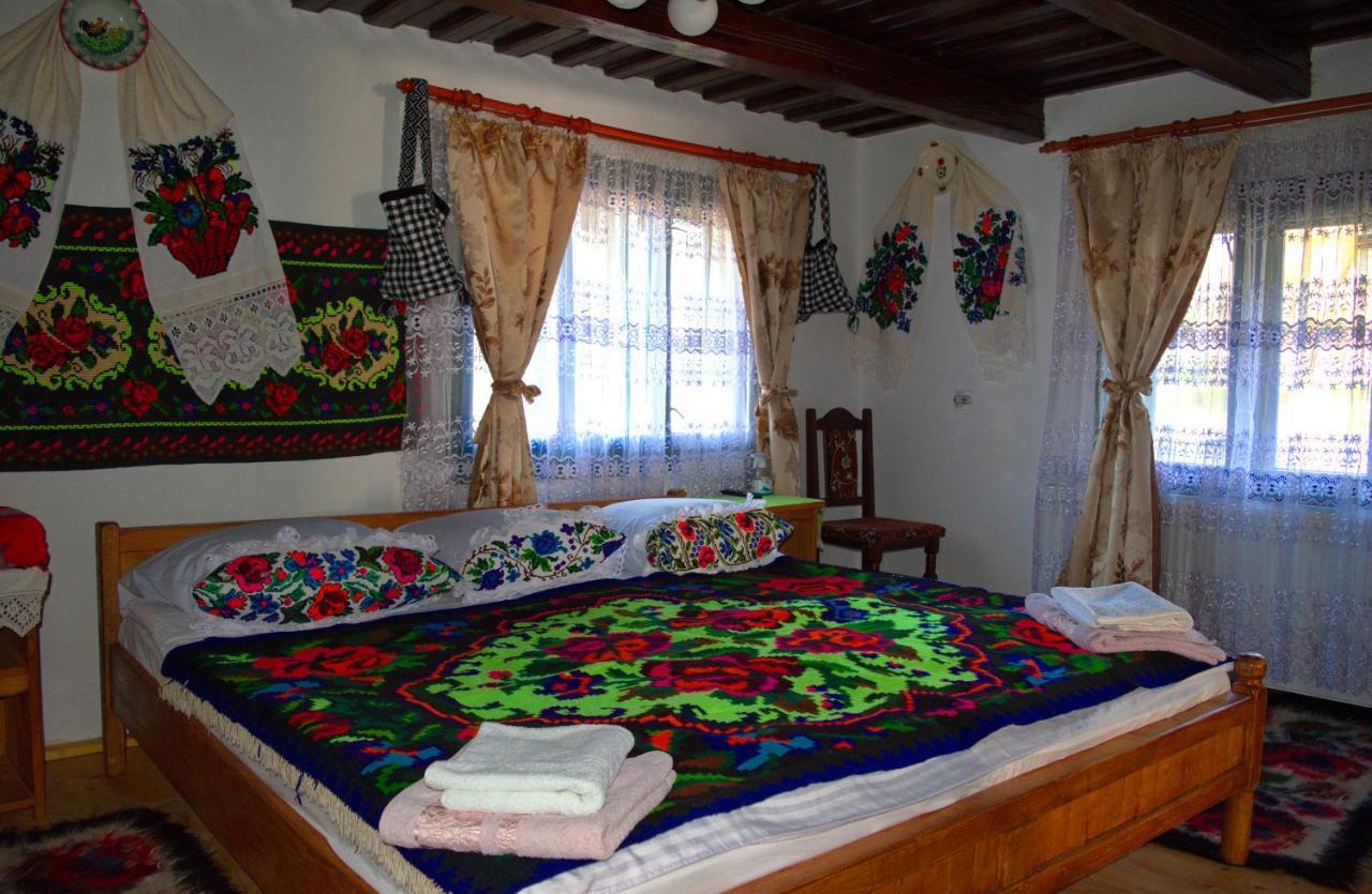 La Rodica In Vale Guest House Ocna Sugatag Exterior photo