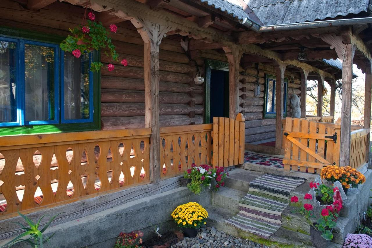 La Rodica In Vale Guest House Ocna Sugatag Exterior photo